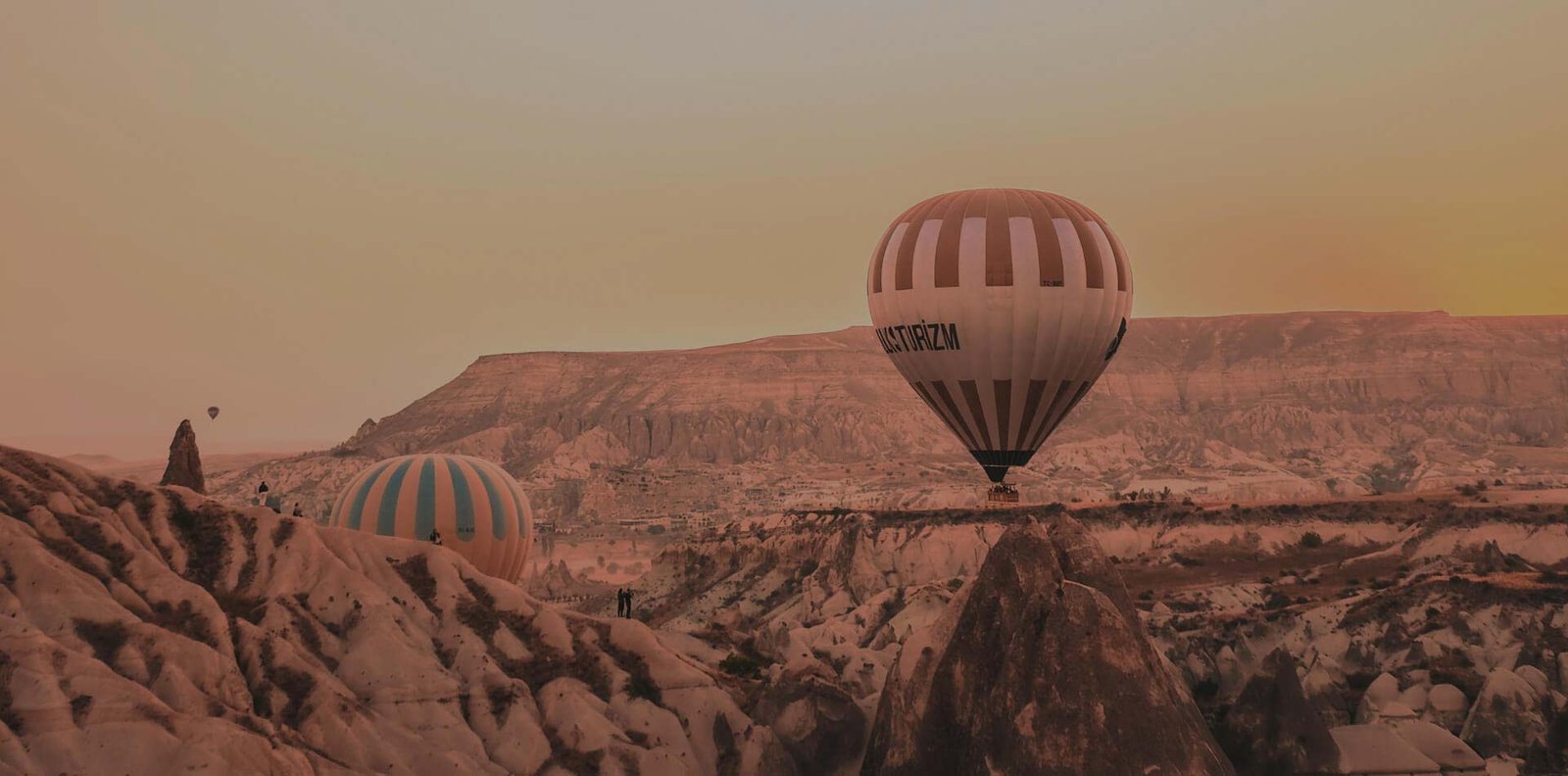 https://zaarnaab.com/wp-content/uploads/2024/06/port-3-8.jpg